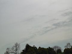 -合肥生态公园
