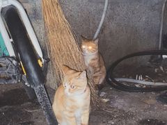 -同福社