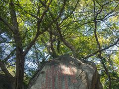 -乌山风景区