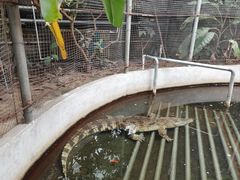 -呀路古热带植物园