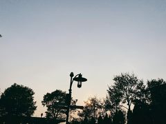 -迪士尼小镇