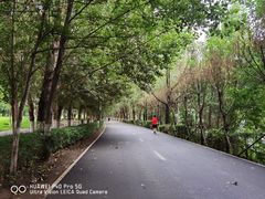 -长白岛森林公园