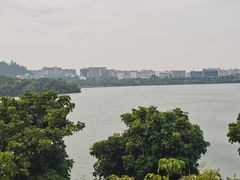 -立新湖公园