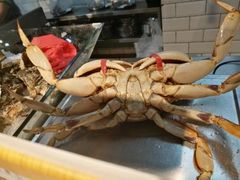 -超级物种(省府店)