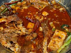 -小杨烤肉(朱雀店)