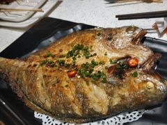 烤羊肉串-九府羊·鲜羊火锅·烤串(新华路店)