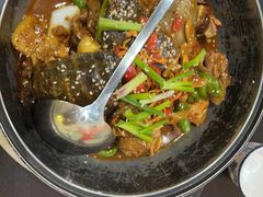 -聚味罗记大排檔·烧烤·鲜鱼杂·甲鱼煲(科学馆店)