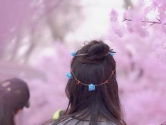 -金茂览秀城