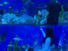 -广东中医药博物馆