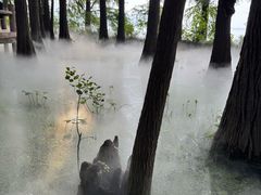 -东湖落雁景区