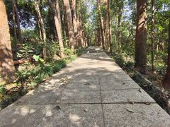 -小南山公园