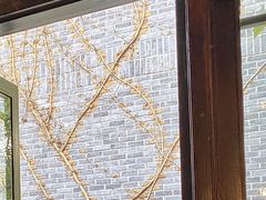 -也枫·小黄楼(南山路旗舰店)