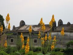 -大旗头古村