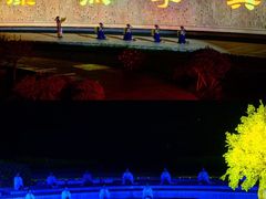 -鼎盛王朝康熙大典实景演出