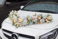 -喜乐汇·婚车(华润橡树湾3期店)