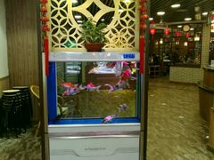 -满禾林火锅(丹东路店)