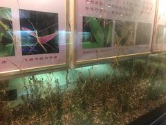 -上海昆虫博物馆