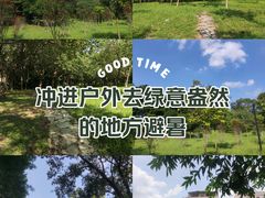 -长洲岛
