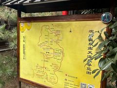 -观唐（国际）度假村温泉