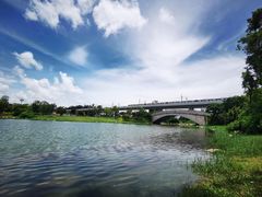 -宝安西湾红树林湿地公园