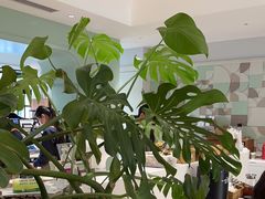 -一尺花园(安和花园店)