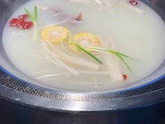 -辣伍鲜毛肚老火锅(元一店)