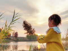 -合肥滨湖国家森林公园