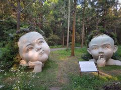 -东平国家森林公园