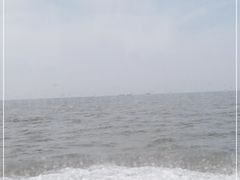 -大鹿岛