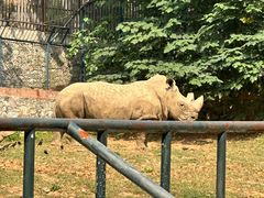 -大连森林动物园