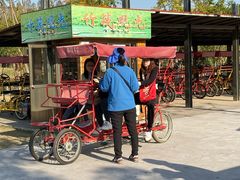 -上海长兴岛郊野公园