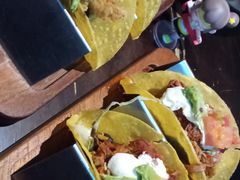 -Famous肥猫墨西哥音乐餐吧(五棵松华熙LIVE店)