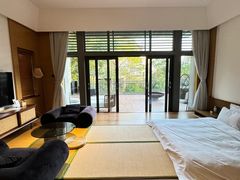 -广州市流溪河国家森林公园