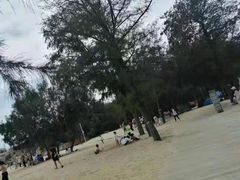 -坛南湾阿强农家乐.海鲜大排档老字号(福州地标美食店)