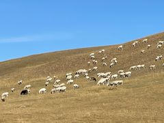 -莫日格勒旅游景区