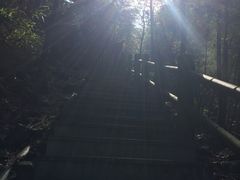 -江南天池高山汤泉城