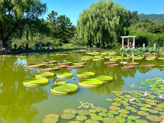 -国家植物园南园