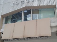 -柏萃动物医院·骨科·牙科