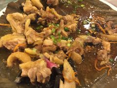 -金河半岛园林酒家(金融城店)