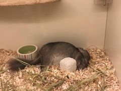 -龙猫仔乐园(惠福东路店)