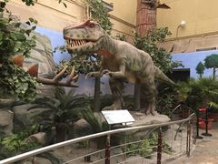 -国家自然博物馆