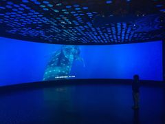 -同济大学四平路校区深海探索馆