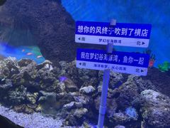 -横店影视城梦幻谷园区