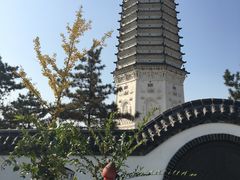 -舍利塔滩地公园-无垢净光舍利塔