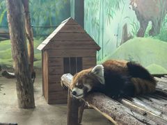 -济南野生动物世界