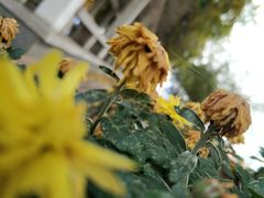 -蓬莱欧乐堡梦幻世界