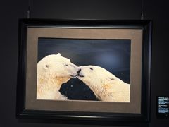 -罗红摄影艺术馆