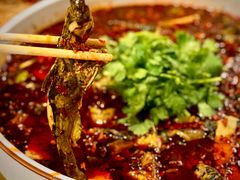 -陈胖子鱼庄(黄辣丁新津店)