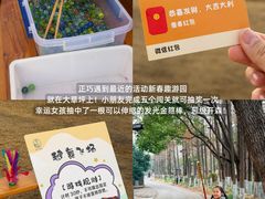 -乌村