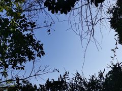 -杭州半山国家森林公园